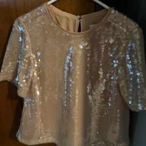 Sequin Pink Loft Top- Medium NWT